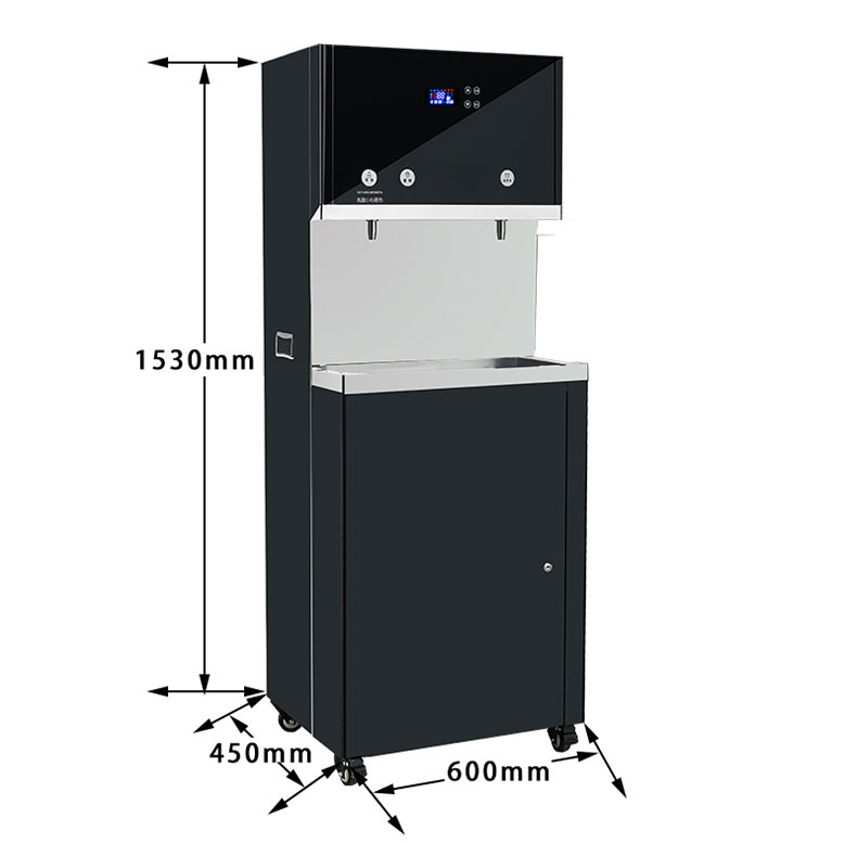 两龙头直饮水机