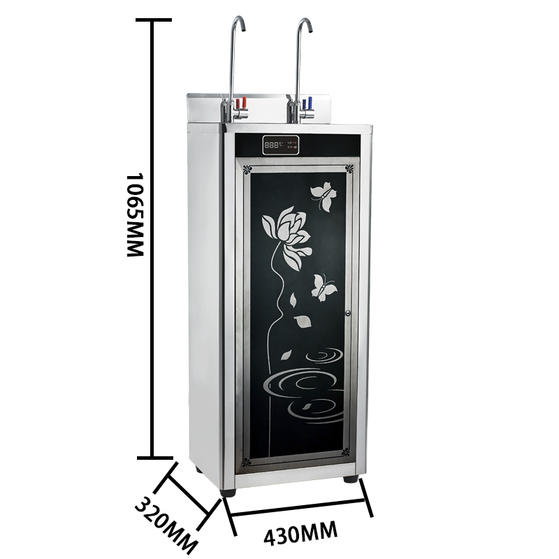 两龙头直饮水机